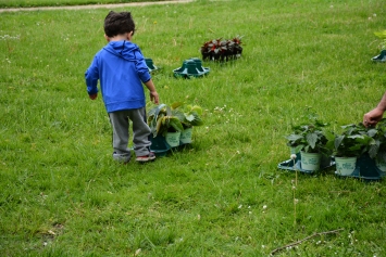 At his first garden sale, two-year-old Attilio Pacetti begins to explore.